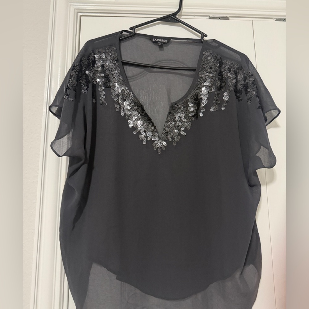 Express Sheer Sequin Blouse